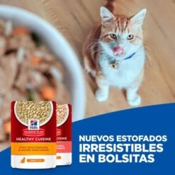 Hill's Science Plan Hill's Adult Healthy Cuisine Con Pollo Y Salmón Para Gatos -Gatos Perros Suministros Tienda cat key visual 9