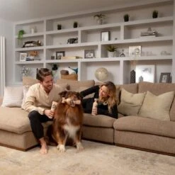 Pet Head Sensitive Soul Champú Para Perros -Gatos Perros Suministros Tienda companyofanimals pethead sensitivesoul set3teilig hs 07 5