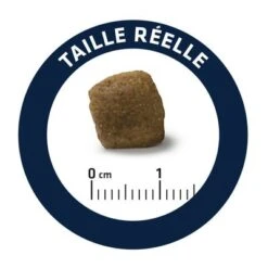 Advance Articular Care Senior Veterinary Diets Para Perros -Gatos Perros Suministros Tienda dog advance vet diets articular care 1