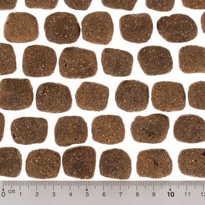 Wolf Of Wilderness The Taste Of The Mediterranean 5 Wolf Of Wilderness The Taste Of The Mediterranean - Imagen 5