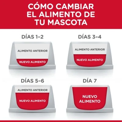 Hill's Science Plan Hill's Puppy <1 Medium Science Plan Con Pollo 7 Hill's Science Plan Hill's Puppy <1 Medium Science Plan Con Pollo - Imagen 7