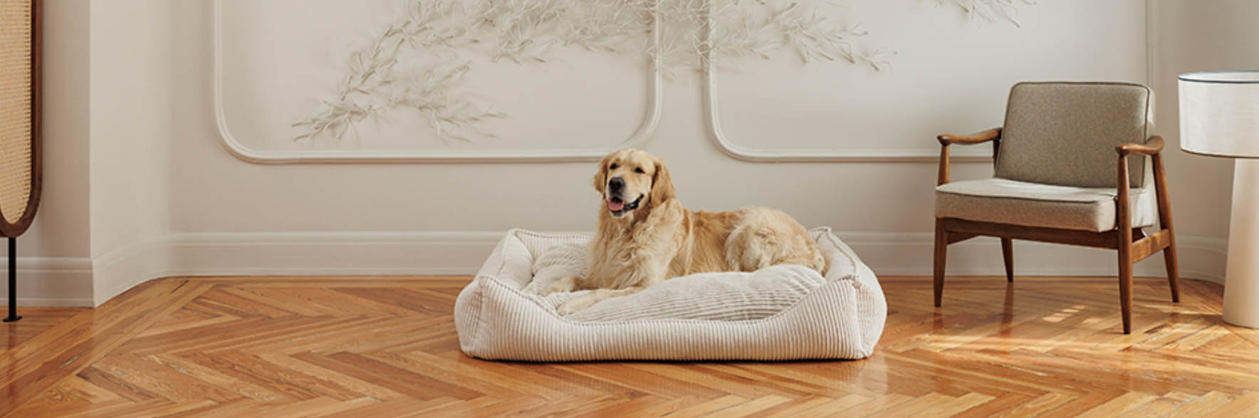 Gatos Perros Suministros Tienda -Gatos Perros Suministros Tienda fhfgh