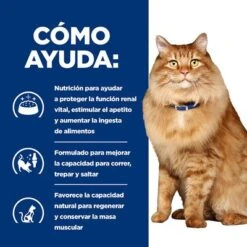 Hill's K/d + Mobility Prescription Diet Bolsitas Para Gatos 15 Hill's K/d + Mobility Prescription Diet Bolsitas Para Gatos -Gatos Perros Suministros Tienda pd kd mobility cat bk24069m bk27533m how helps es 4
