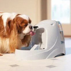 Fuente De Agua Para Mascotas Drinkwell Platinum De PetSafe -Gatos Perros Suministros Tienda pla radiosystems drinkwellplatinumtrinkbrunnen 5liter dog 1