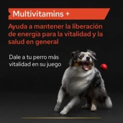 PRO PLAN Dog Adult Multivitamins Supplement Comprimidos -Gatos Perros Suministros Tienda pu supplementals atf multivitamins dog a 220513 es es 9