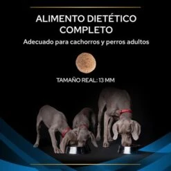 Purina DRM Dermatosis Veterinary Diets Pienso Para Perros -Gatos Perros Suministros Tienda puppvdddppvdr22ksizles 220629 1 1656985195811 5