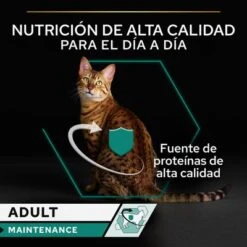 PURINA PRO PLAN Cat Adult Maintenance 24 X 85 G En Latas -Gatos Perros Suministros Tienda puprpnwcadvmanocach23fnb1cles 4
