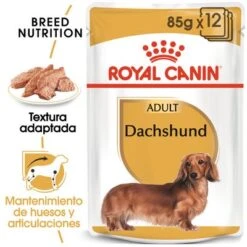 Royal Canin Breed Teckel Mousse