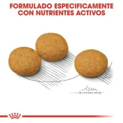 Royal Canin Medium Dermacomfort -Gatos Perros Suministros Tienda rc ccn dermamed cv eretailkit 5 es es 8