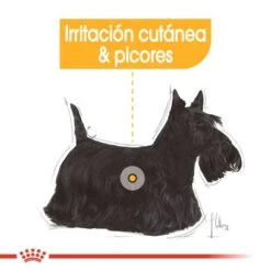 Royal Canin CCN Dermacomfort Mousse Para Perros 12 Royal Canin CCN Dermacomfort Mousse Para Perros -Gatos Perros Suministros Tienda rc ccn wet dermacomfort cv eretailkit 1 es es 1 0