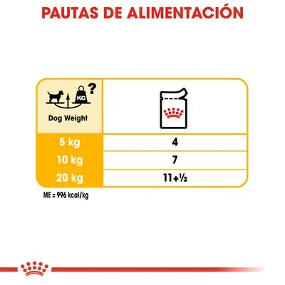 Royal Canin CCN Dermacomfort Mousse Para Perros 7 Royal Canin CCN Dermacomfort Mousse Para Perros - Imagen 7