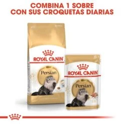 Royal Canin Breed Persian -Gatos Perros Suministros Tienda rc fbn wet persian cv eretailkit 4 es es 0