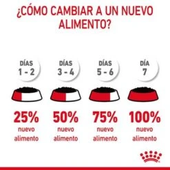 Royal Canin Appetite Control Care En Gelatina -Gatos Perros Suministros Tienda rc fcn appetitecontrolpouchjelly 12 es es 8