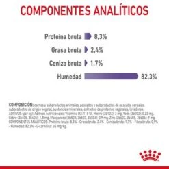 Royal Canin Appetite Control Care En Gelatina -Gatos Perros Suministros Tienda rc fcn appetitecontrolpouchjelly 9 es es 9