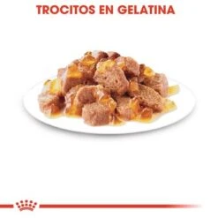 Royal Canin Instinctive En Gelatina -Gatos Perros Suministros Tienda rc fhn 2 9