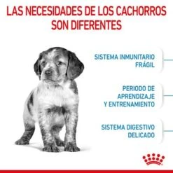 Royal Canin Medium Puppy -Gatos Perros Suministros Tienda rc spt dry mediumpuppy cv 2 es es 0