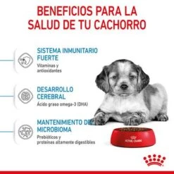 Royal Canin Medium Puppy -Gatos Perros Suministros Tienda rc spt dry mediumpuppy cv 3 es es 6