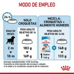 Royal Canin Medium Puppy -Gatos Perros Suministros Tienda rc spt dry mediumpuppy cv 7 es es 4