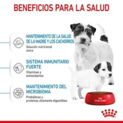 Royal Canin Mini Starter 14 Royal Canin Mini Starter -Gatos Perros Suministros Tienda rc spt dry ministart cv 3 es es 6