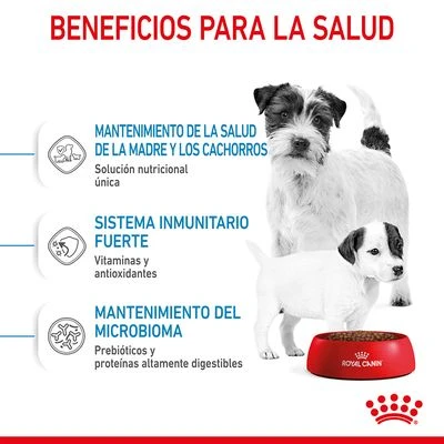 Royal Canin Mini Starter 4 Royal Canin Mini Starter - Imagen 4