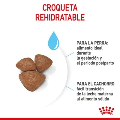 Royal Canin Mini Starter 9 Royal Canin Mini Starter - Imagen 9