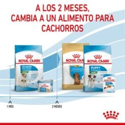 Royal Canin Mini Starter 21 Royal Canin Mini Starter -Gatos Perros Suministros Tienda rc spt dry ministart cv 5 es es 1