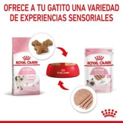 Royal Canin Kitten Paté 18 Royal Canin Kitten Paté -Gatos Perros Suministros Tienda rc spt wet kitten loaf cv 4 es es 8