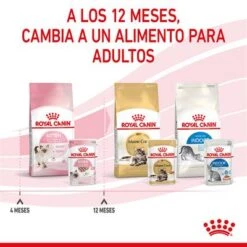 Royal Canin Kitten Paté 21 Royal Canin Kitten Paté -Gatos Perros Suministros Tienda rc spt wet kitten loaf cv 8 es es 4