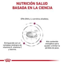 Royal Canin Veterinary Canine Cardiac Pienso Para Perros -Gatos Perros Suministros Tienda rc vdi cardiacdry cv eretailkit 3 es es 6