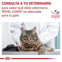 Royal Canin Veterinary Canine Recovery Mousse Perros Y Gatos -Gatos Perros Suministros Tienda rc vet dry catgastro cv eretailkit 9 es es 7