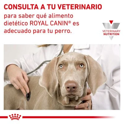 Royal Canin Veterinary Canine Hypoallergenic Moderate Calorie 6 Royal Canin Veterinary Canine Hypoallergenic Moderate Calorie - Imagen 6