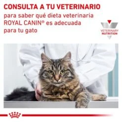 Royal Canin Veterinary Feline Diabetic -Gatos Perros Suministros Tienda rc vet wet catdiabetic tsig cv eretailkit 7 es es 2