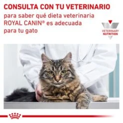 Royal Canin Veterinary Feline Urinary S/O Moderate Calorie 12 Royal Canin Veterinary Feline Urinary S/O Moderate Calorie -Gatos Perros Suministros Tienda rc vet wet caturinarysomc cv eretailkit 6 es es 9