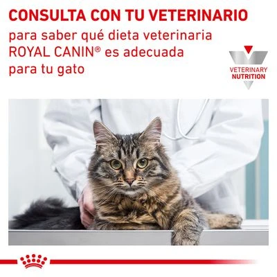 Royal Canin Veterinary Feline Urinary S/O Moderate Calorie 6 Royal Canin Veterinary Feline Urinary S/O Moderate Calorie - Imagen 6