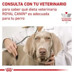 Royal Canin Veterinary Canine Urinary S/O En Salsa -Gatos Perros Suministros Tienda rc vet wet dogurinarysocig cv eretailkit 6 es es 8