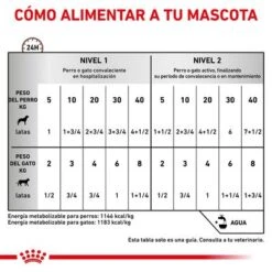 Royal Canin Veterinary Canine Recovery Mousse Perros Y Gatos -Gatos Perros Suministros Tienda rc vet wet mixrecov200g cv eretailkit 4 es es 3