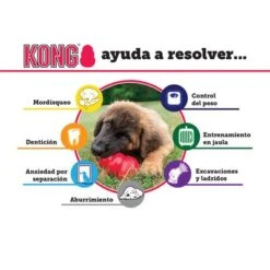 KONG Extreme Juguete Negro Para Perros 16 KONG Extreme Juguete Negro Para Perros -Gatos Perros Suministros Tienda solutions es 4