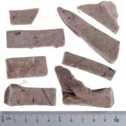 Pack De Prueba Mixto: Wolf Of Wilderness Snacks Liofilizados Premium -Gatos Perros Suministros Tienda wow fd snack high valley liverwithruler 2