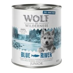 Wolf Of Wilderness Free Range Junior 6 X 800 G -Gatos Perros Suministros Tienda wow freerange junior blueriver 800g 1000x1000 1 3