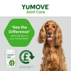 YuMOVE Cuidado Articular Para Perros Adultos -Gatos Perros Suministros Tienda yumove joint care adult 300 5 3