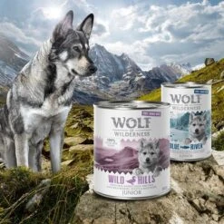 Wolf Of Wilderness Free Range Junior 6 X 800 G -Gatos Perros Suministros Tienda zop 21 048 wow nafu junior 800g 400g mood 7